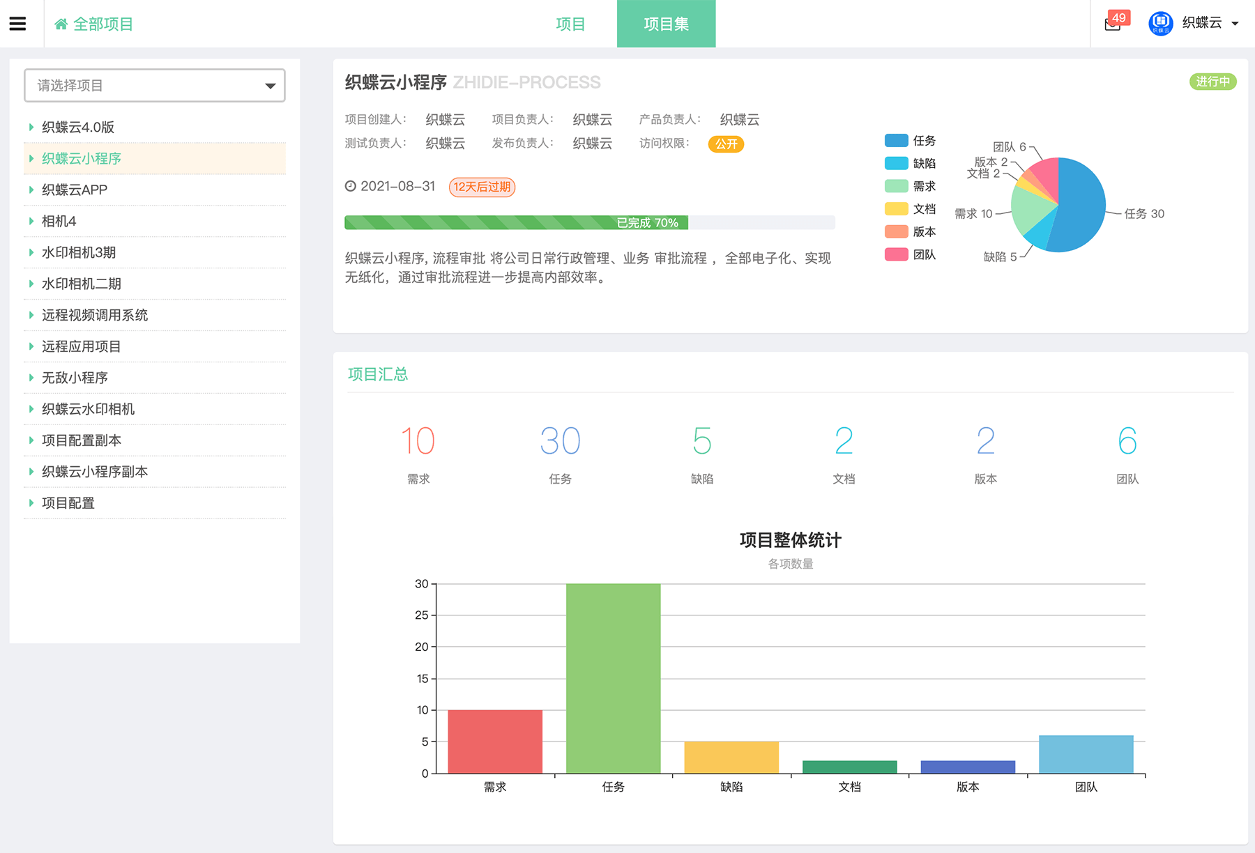 项目集项目管理概况